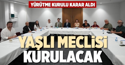 YAŞLI MECLİSİ KURULACAK