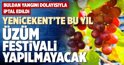 YENİCEKENT’TE BU YIL ÜZÜM FESTİVALİ YAPILMAYACAK