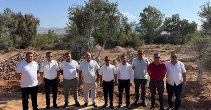 ZEYTİN AĞAÇLARI BİLİMSEL YÖNTEMLERLE YENİ YERLERİNE TAŞINDI