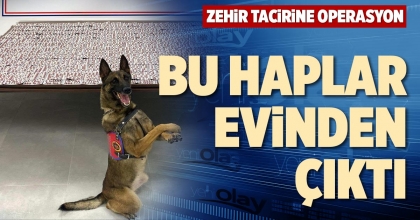 BİNLERCE UYUŞTURUCU HAP ELE GEÇİRİLDİ