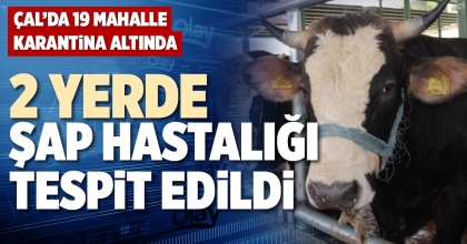 2 YERDE ŞAP HASTALIĞI TESPİT EDİLDİ