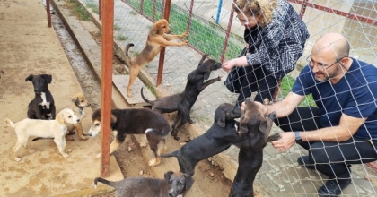 GERMENCİK SOKAK HAYVANLARI REHABİLİTASYON MERKEZİ AÇILIŞ İÇİN GÜN SAYIYOR
