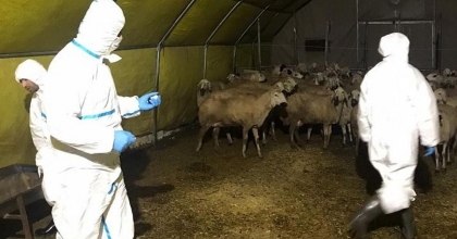 28 ÜRETİCİYE 7,4 MİLYON LİRA DESTEK