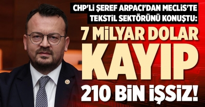 7 MİLYAR DOLAR KAYIP, 210 BİN İŞSİZ!
