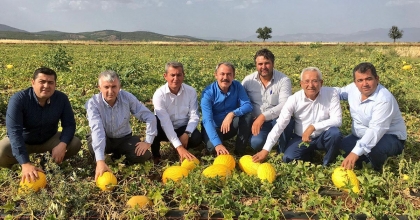 ACIPAYAM KAVUNU TESCİLLENDİ