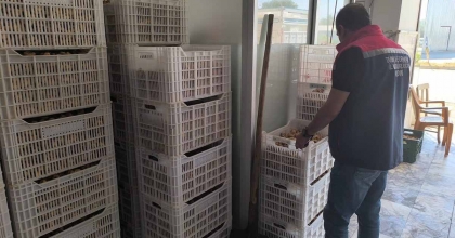 KÖŞK’TE KURU İNCİR DEPOLARINA SIKI DENETİM