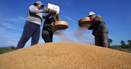 ALTIN SUSAMDA ‘DELİ MEHMET' BEREKETİ