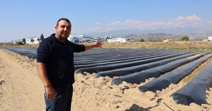 AYDIN’DA KIŞ ÇİLEĞİ HAZIRLIKLARI BAŞLADI