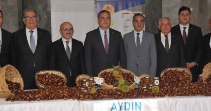 AYDIN'DA SEZONUN İLK KESTANESİ KİLOSU 550 TL'DEN ALINDI