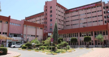 AYDIN’DA UYUZ SALGINI