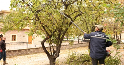 ÇİVRİL’DE AĞAÇLARA BAKIM