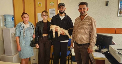 ÇİP SAYESİNDE KAYIP KEDİ KISA SÜREDE SAHİBİNE KAVUŞTU