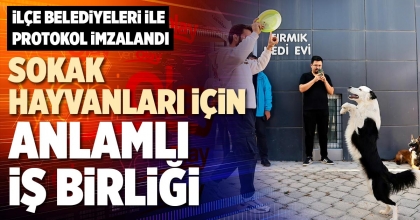 SOKAK HAYVANLARI İÇİN ANLAMLI İŞ BİRLİĞİ