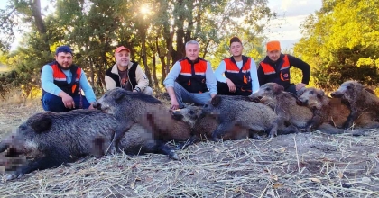 HİSARCIKLI AVCILAR 6 SAATTE 7 YABAN DOMUZU VURDU
