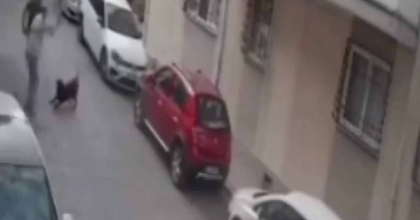 İZMİR'DE KÖPEĞE KEMERLİ ŞİDDET
