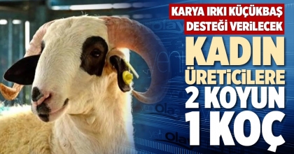 KADIN ÜRETİCİLERE 2 KOYUN 1 KOÇ