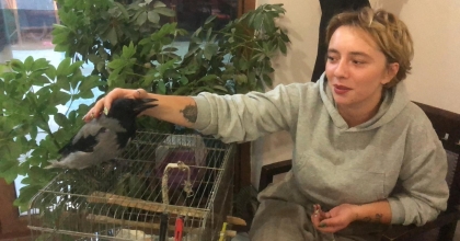 KAHVEHANE BAĞIMLISI KARGA MAHALLENİN MASKOTU HALİNE GELDİ