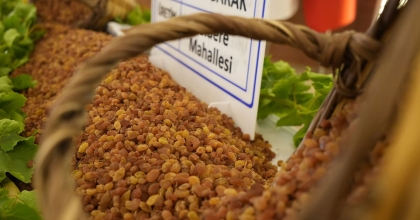 MANİSA'NIN 9 AYLIK TARIM İHRACATI 706,7 MİLYON DOLARA ULAŞTI