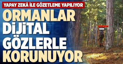 ORMANLAR DİJİTAL GÖZLERLE KORUNUYOR