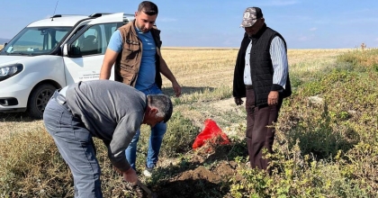 PATATES HASADI ÖNCESİ İNCELEME YAPILDI