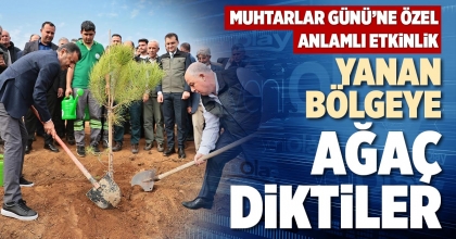 YANAN BÖLGEYE AĞAÇ DİKTİLER