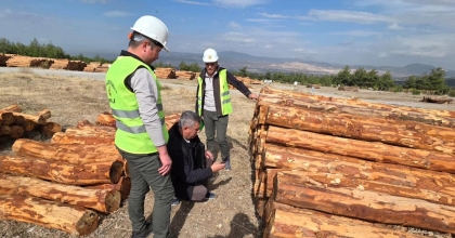 ZARARLIYLA MÜCADELE ÇALIŞMALARI DENETLENDİ