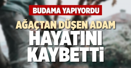 AĞAÇTAN DÜŞEN ADAM HAYATINI KAYBETTİ