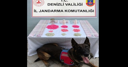 2 BİN 149 UYUŞTURUCU HAP ELE GEÇİRİLDİ