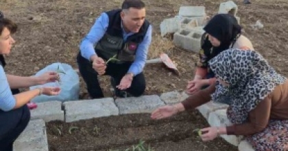 KADIN ÜRETİCİLERE SALEP FİDESİ DAĞITILDI