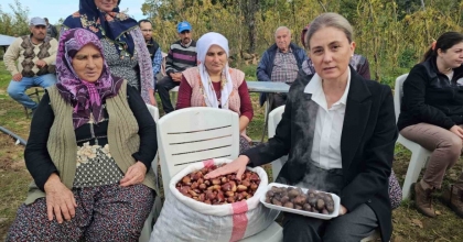KAYMAKAM KAN, KESTANE HASADINA KATILDI