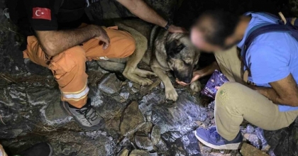 ORMALIK ALANDA MAHSUR KALAN VATANDAŞ 4 SAATLİK ÇALIŞMA SONUNDA KURTARILDI
