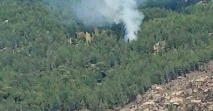 KAVAKLIDERE’DE ORMAN YANGINI
