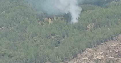 KAVAKLIDERE’DEKİ ORMAN YANGINI KONTROL ALTINA ALINDI
