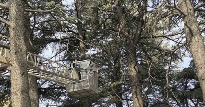 İTFAİYEDEN SU FIŞKIRTMA TEKNİĞİYLE KEDİ KURTARMA OPERASYONU
