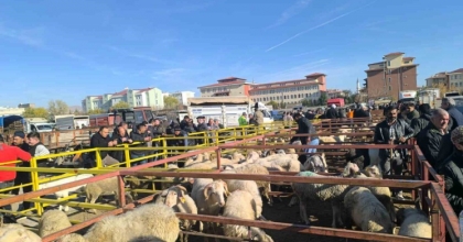 UZUN SÜREDİR KAPALI OLAN CANLI HAYVAN PAZARI AÇILDI
