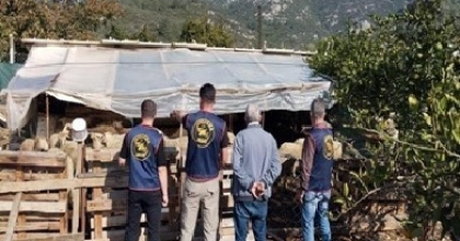 GERMENCİK’TE ÇALINAN HAYVANLAR BULUNARAK SAHİBİNE TESLİM EDİLDİ
