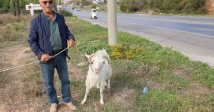 KEÇİLERİ İLE TATİL YAPIYOR
