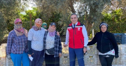 AYDIN’DA MANDALİNA HASADI BAŞLADI
