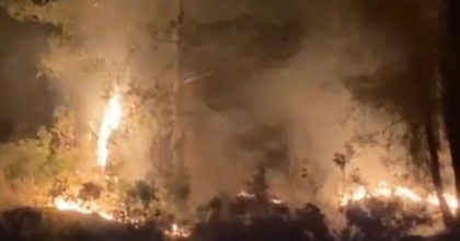 MUĞLA’DA ÇIKAN ORMAN YANGINI KISA SÜREDE KONTROL ALTINA ALINDI
