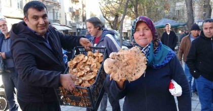 KÜTAHYA’DA MELKİ MANTARI ÇOĞALDI, FİYATLAR DÜŞTÜ
