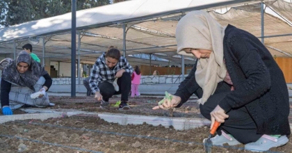 MAHALLE BOSTANLARINDA KIŞ DİKİMLERİ BAŞLADI