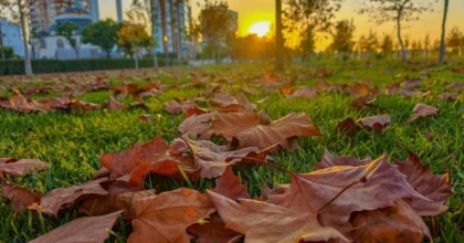 GÜZELYURT SONBAHAR RENKLERİNE BÜRÜNDÜ
