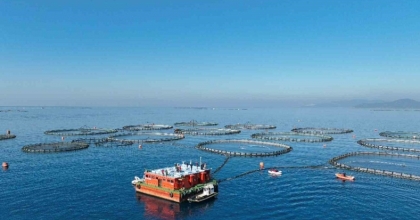 AYDIN’DA SU ÜRÜNLERİ DESTEKLEME BAŞVURULARI BAŞLADI
