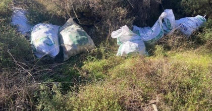 ÇALDIKLARI ÇAM FISTIKLARINI OTLARIN ARASINA SAKLADILAR
