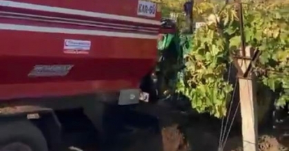 SARIGÖL’DE BAĞLARA KIŞLIK DOĞAL GÜBRE VERİLMEYE BAŞLANDI
