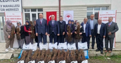 ASLANAPA’DA 13 KADIN ÇİFTÇİYE YÜZDE 75 HİBELİ 7 BİN ADET AHUDUDU FİDANI DAĞITILDI
