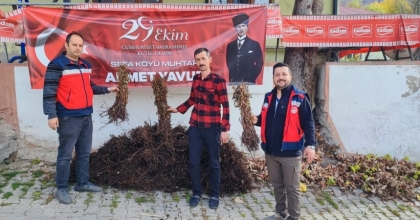 DOMANİÇ’TE ÇİFTÇİLERE YÜZDE 75 HİBELİ 3 BİN ADET AHUDUDU FİDANI DAĞITILDI
