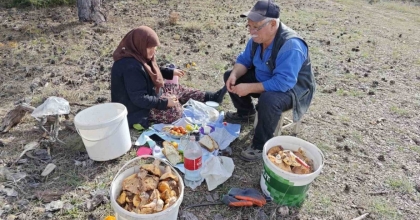 HİSARCIK’TA YAŞLI ÇİFTİN MANTAR MESAİSİ
