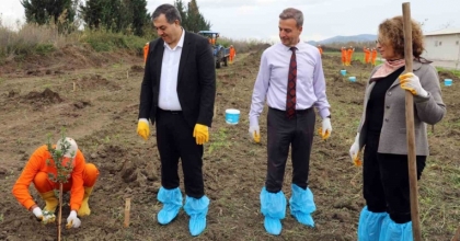 DALAMAN AÇIK CEZA İNFAZ KURUMUNDA 10 DEKAR ALANA SAKIZ AĞACI FİDANI DİKİLDİ
