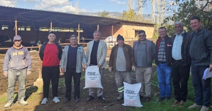BEYAĞAÇ’TA ŞAPA KARŞI KİREÇ DAĞITILDI